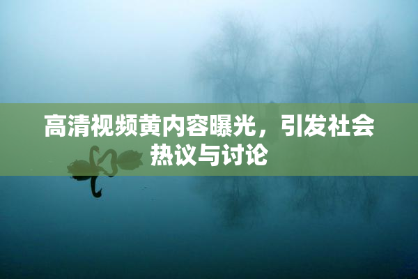 高清视频黄内容曝光，引发社会热议与讨论