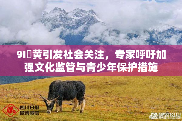 9I婬黄引发社会关注，专家呼吁加强文化监管与青少年保护措施