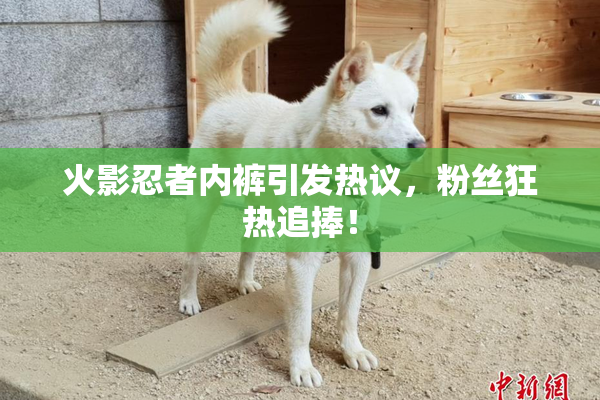 火影忍者内裤引发热议，粉丝狂热追捧！
