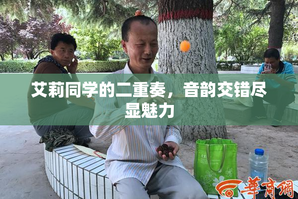 艾莉同学的二重奏，音韵交错尽显魅力