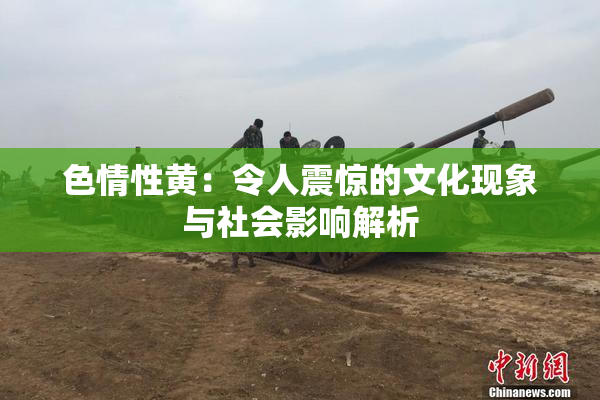 色情性黄：令人震惊的文化现象与社会影响解析