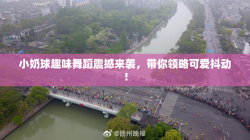小奶球趣味舞蹈震撼来袭，带你领略可爱抖动！