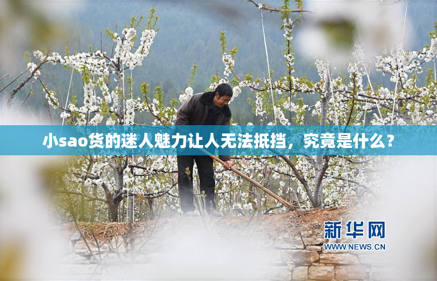 小sao货的迷人魅力让人无法抵挡，究竟是什么？