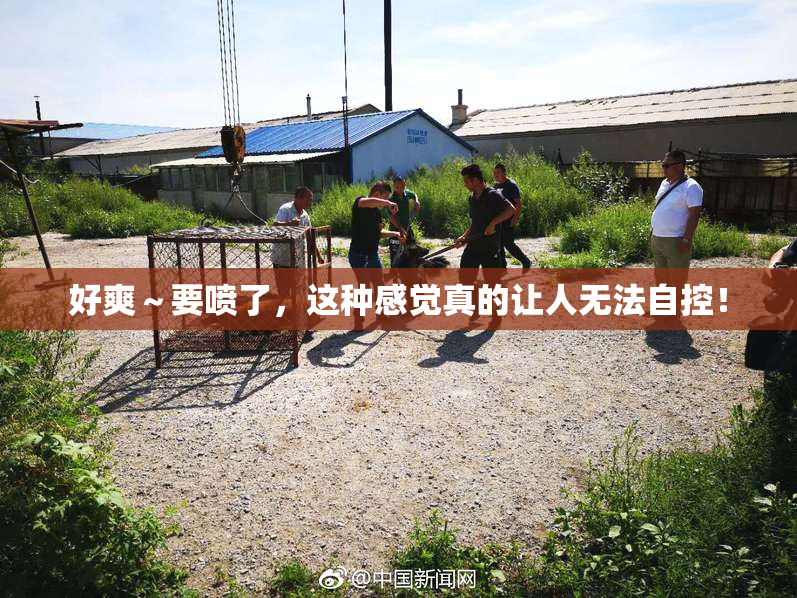 好爽～要喷了，这种感觉真的让人无法自控！