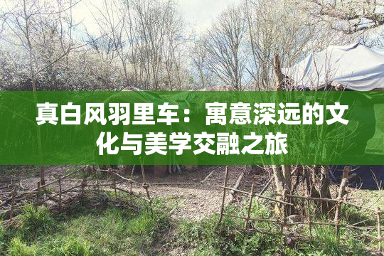 真白风羽里车：寓意深远的文化与美学交融之旅