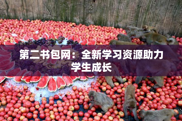 第二书包网：全新学习资源助力学生成长