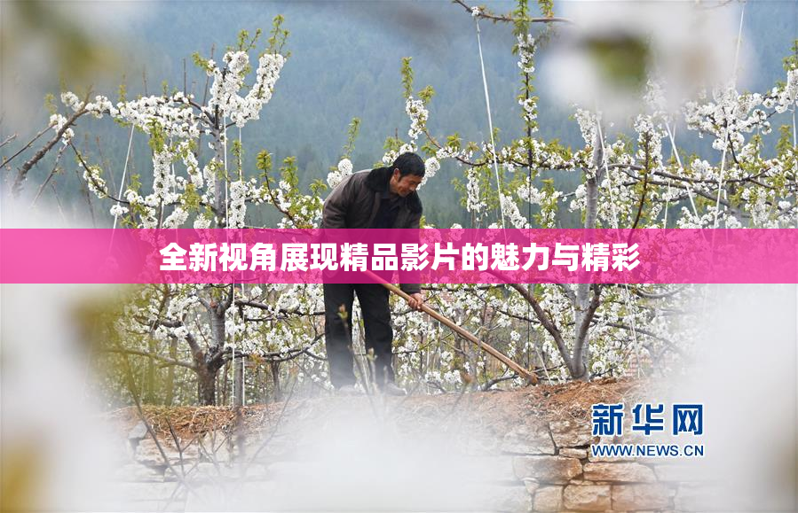 全新视角展现精品影片的魅力与精彩