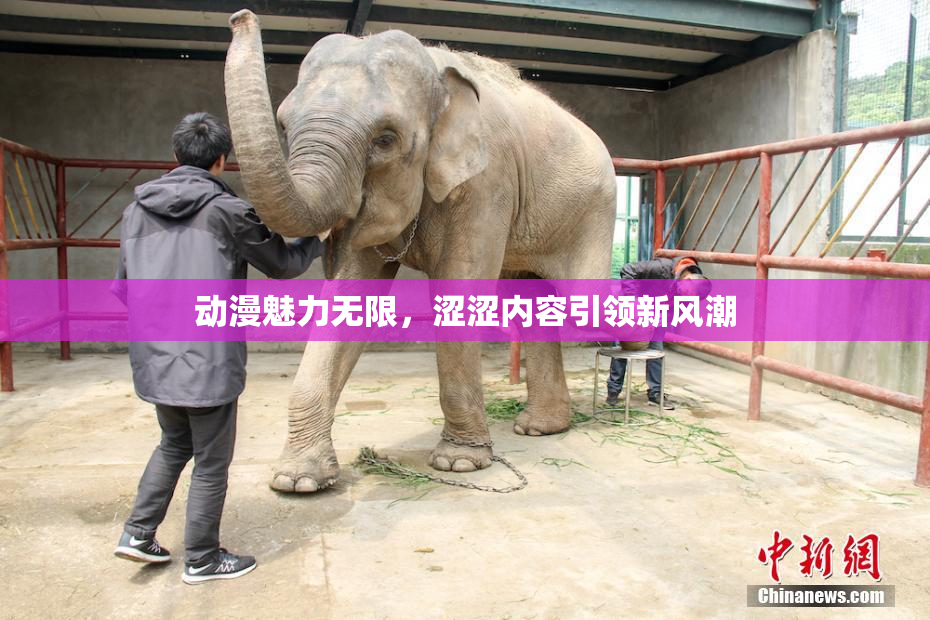 动漫魅力无限，涩涩内容引领新风潮