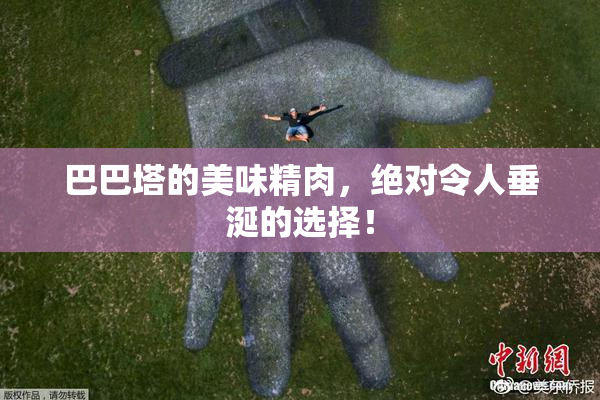 巴巴塔的美味精肉，绝对令人垂涎的选择！