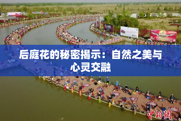 后庭花的秘密揭示：自然之美与心灵交融