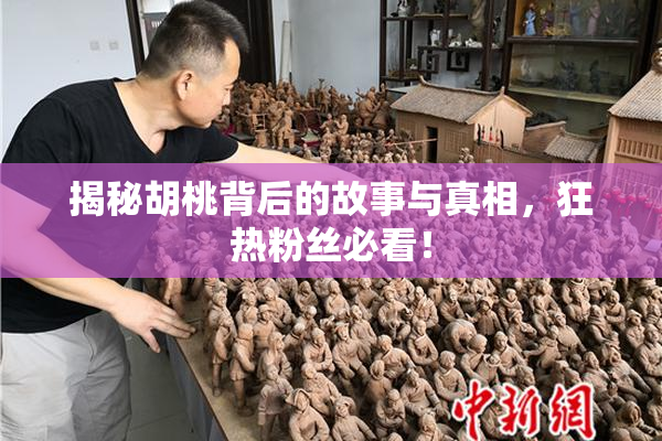 揭秘胡桃背后的故事与真相，狂热粉丝必看！