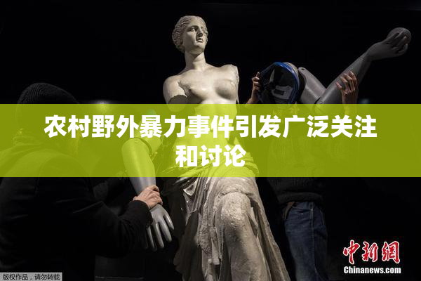农村野外暴力事件引发广泛关注和讨论