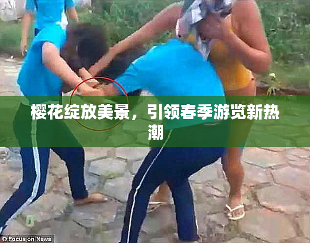 樱花绽放美景，引领春季游览新热潮