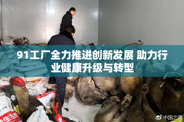 91工厂全力推进创新发展 助力行业健康升级与转型