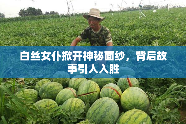 白丝女仆掀开神秘面纱，背后故事引人入胜