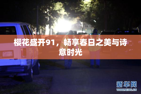 樱花盛开91，畅享春日之美与诗意时光