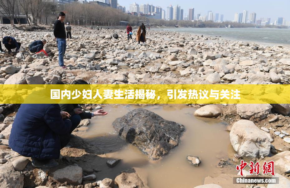 国内少妇人妻生活揭秘，引发热议与关注
