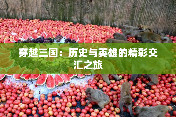 穿越三国：历史与英雄的精彩交汇之旅