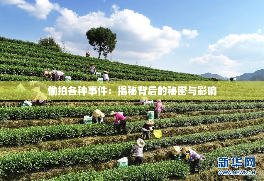 偷拍各种事件：揭秘背后的秘密与影响
