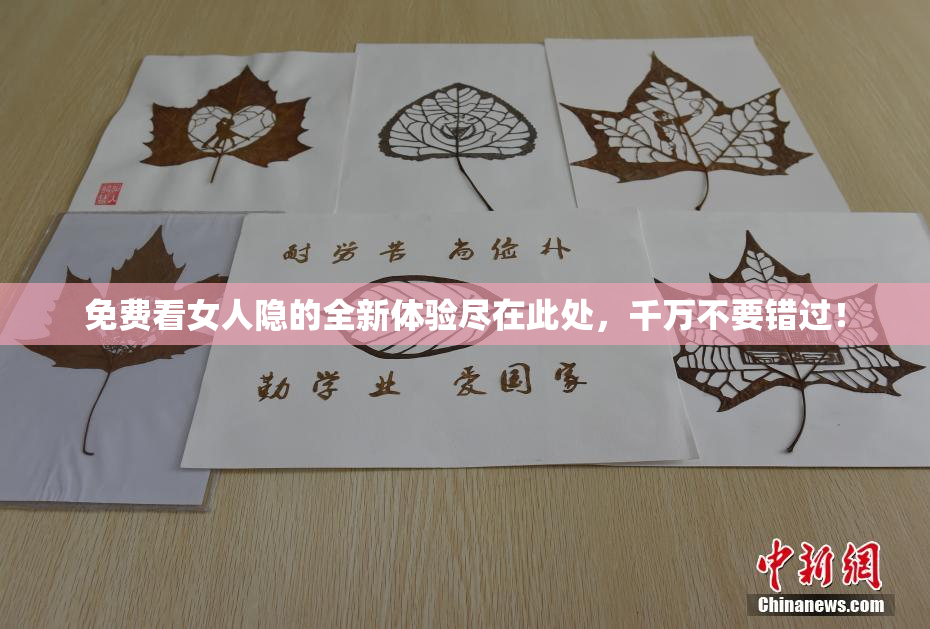 免费看女人隐的全新体验尽在此处，千万不要错过！