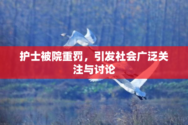 护士被院重罚，引发社会广泛关注与讨论