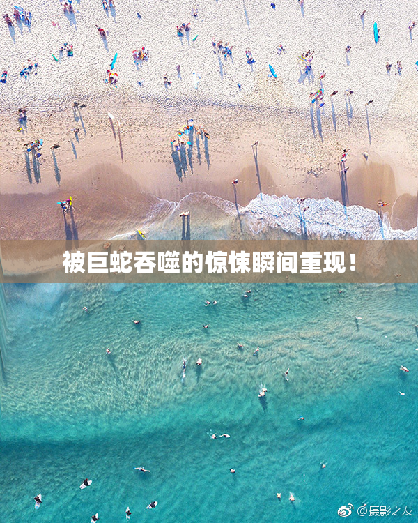 被巨蛇吞噬的惊悚瞬间重现！