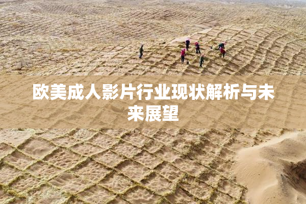 欧美成人影片行业现状解析与未来展望