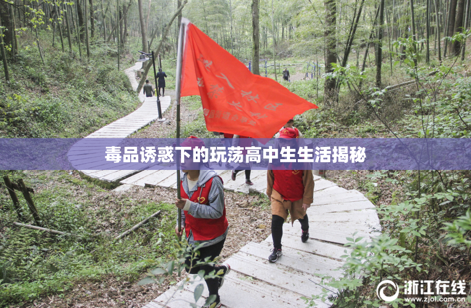 毒品诱惑下的玩荡高中生生活揭秘