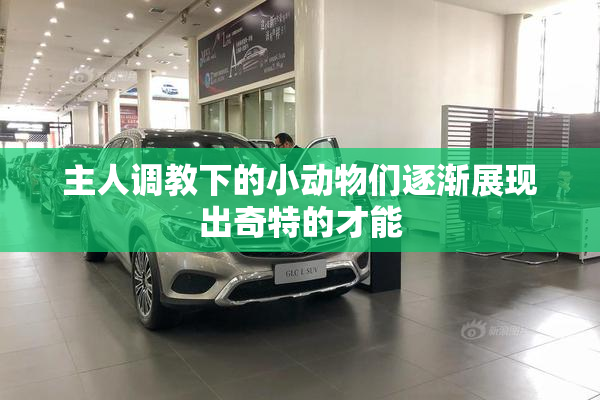 主人调教下的小动物们逐渐展现出奇特的才能