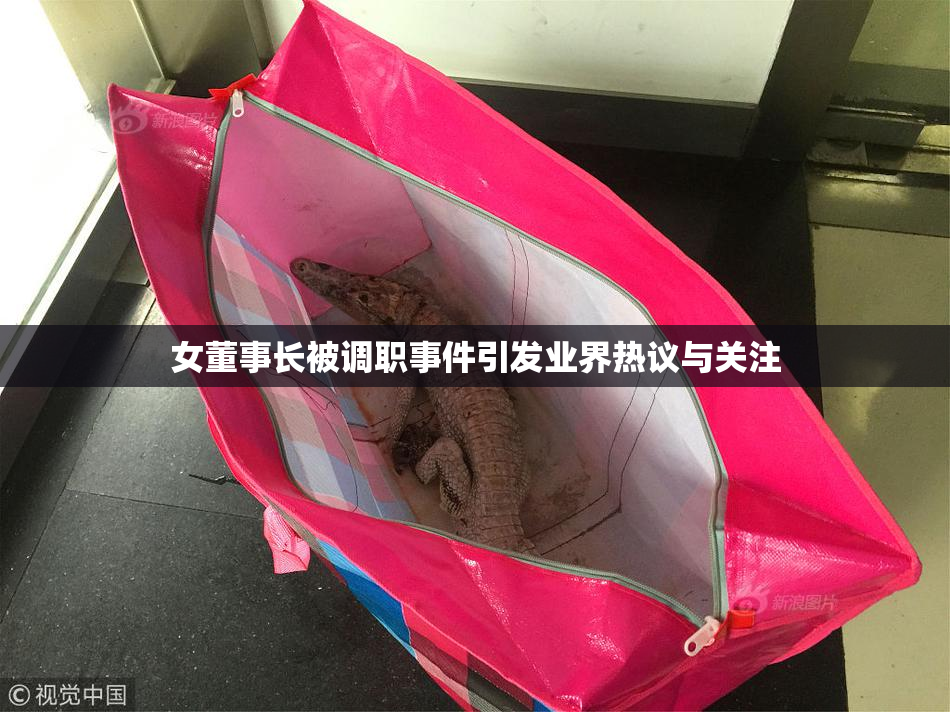 女董事长被调职事件引发业界热议与关注
