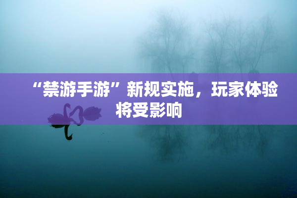 “禁游手游”新规实施，玩家体验将受影响