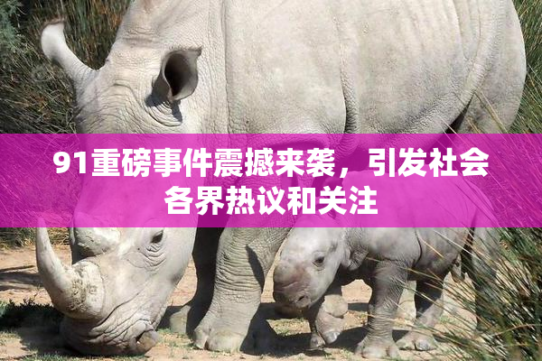 91重磅事件震撼来袭，引发社会各界热议和关注