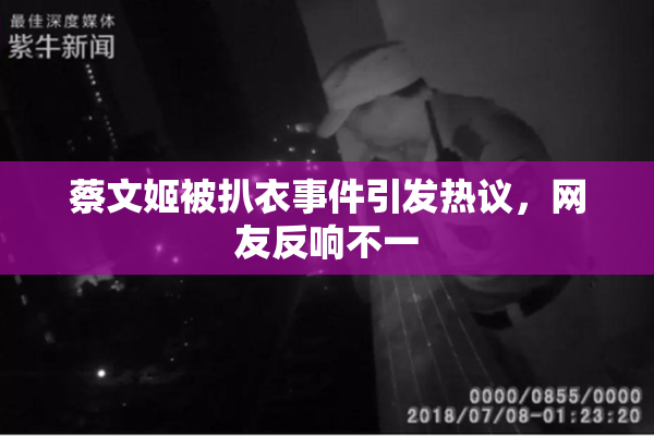 蔡文姬被扒衣事件引发热议，网友反响不一
