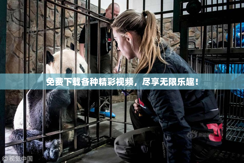 免费下载各种精彩视频，尽享无限乐趣！