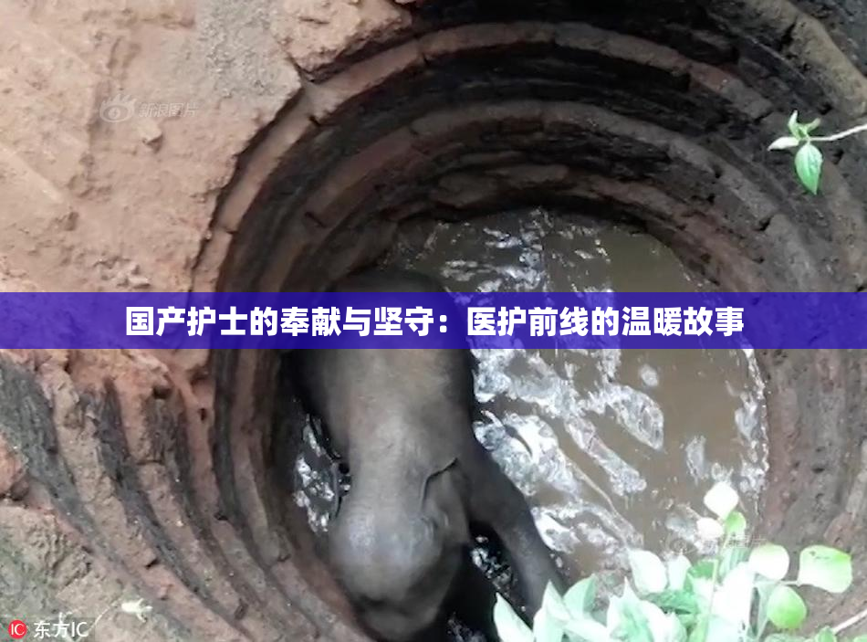 国产护士的奉献与坚守：医护前线的温暖故事