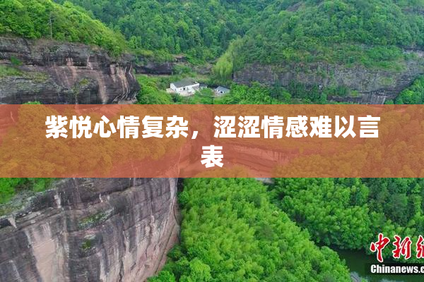 紫悦心情复杂，涩涩情感难以言表
