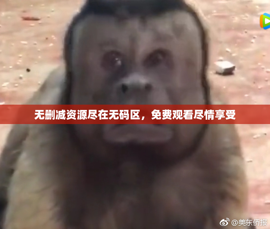 无删减资源尽在无码区，免费观看尽情享受