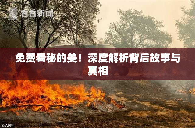 免费看秘的美！深度解析背后故事与真相