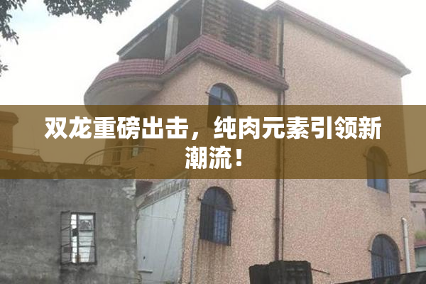 双龙重磅出击，纯肉元素引领新潮流！