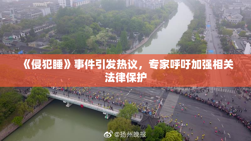 《侵犯睡》事件引发热议，专家呼吁加强相关法律保护