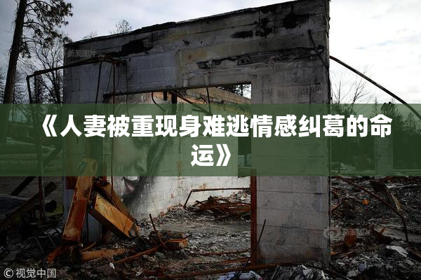 《人妻被重现身难逃情感纠葛的命运》