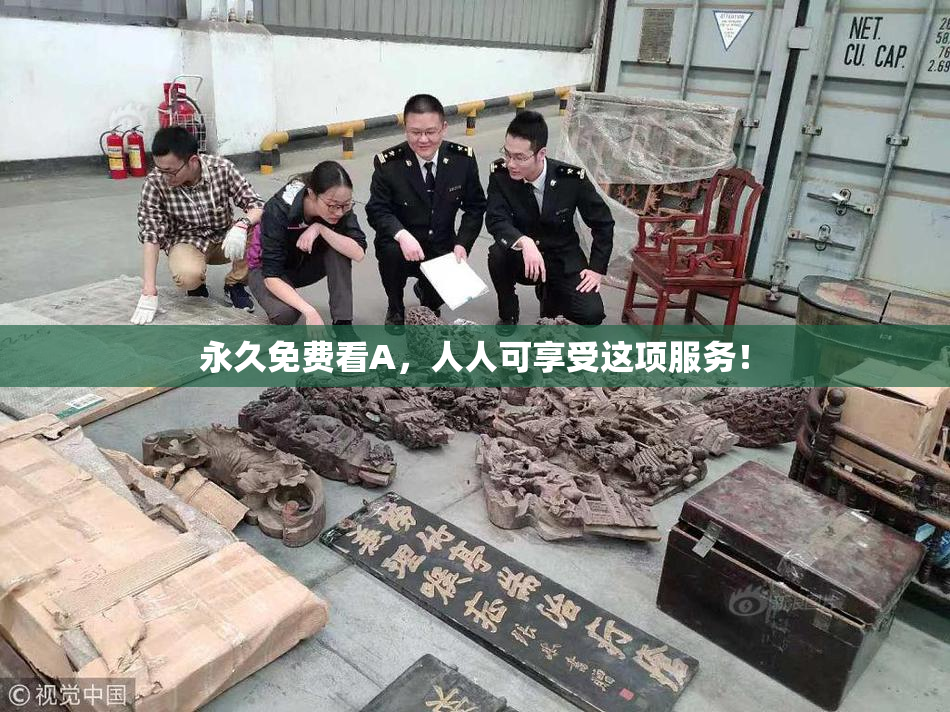 永久免费看A，人人可享受这项服务！