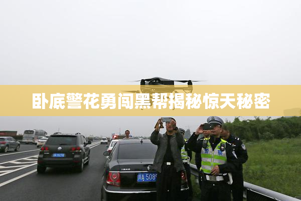 卧底警花勇闯黑帮揭秘惊天秘密
