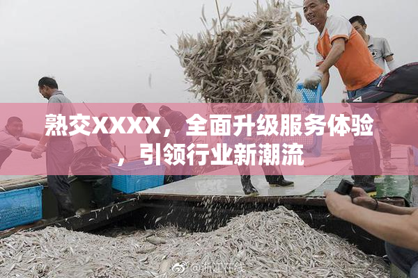 熟交XXXX，全面升级服务体验，引领行业新潮流