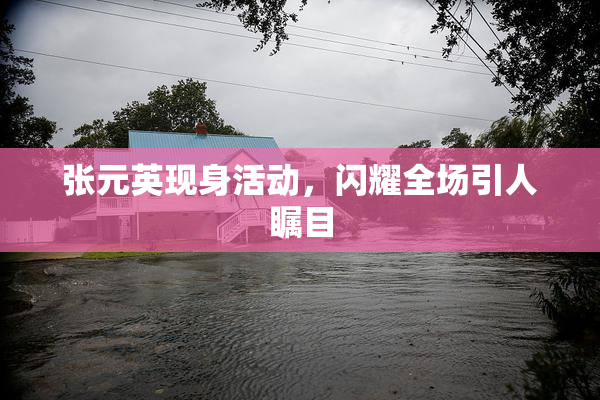 张元英现身活动，闪耀全场引人瞩目