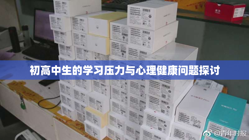 初高中生的学习压力与心理健康问题探讨