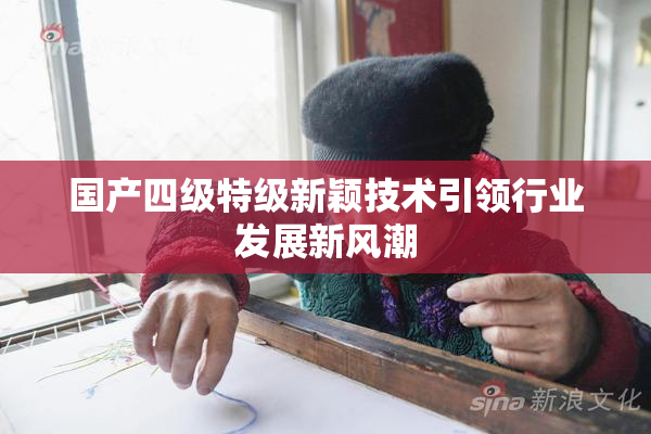 国产四级特级新颖技术引领行业发展新风潮
