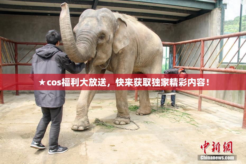 ★cos福利大放送，快来获取独家精彩内容！