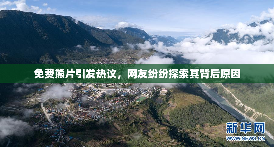 免费熊片引发热议，网友纷纷探索其背后原因