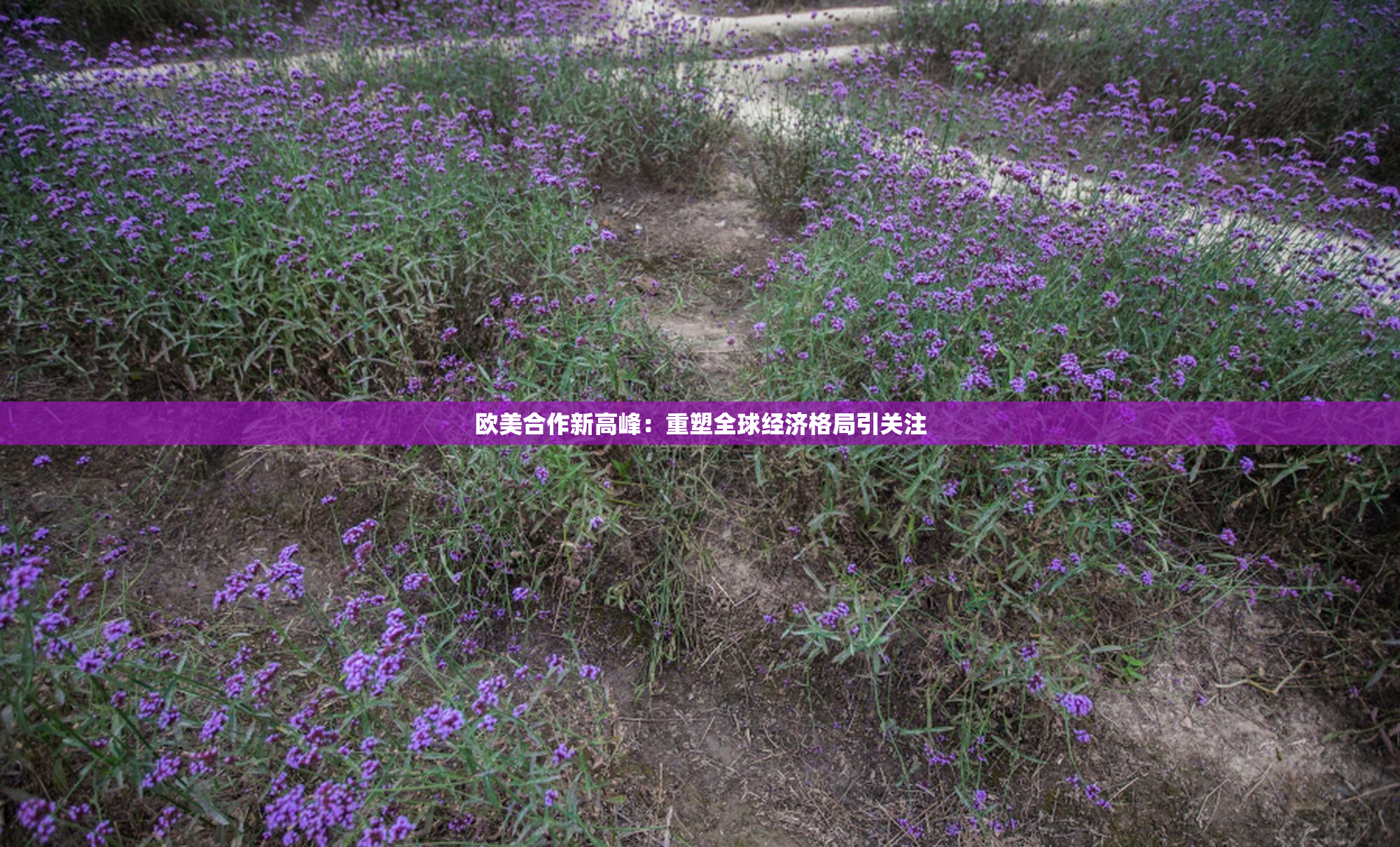 欧美合作新高峰：重塑全球经济格局引关注